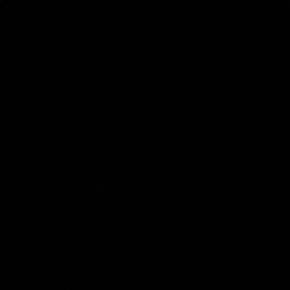 Meet your Posher, Sasha